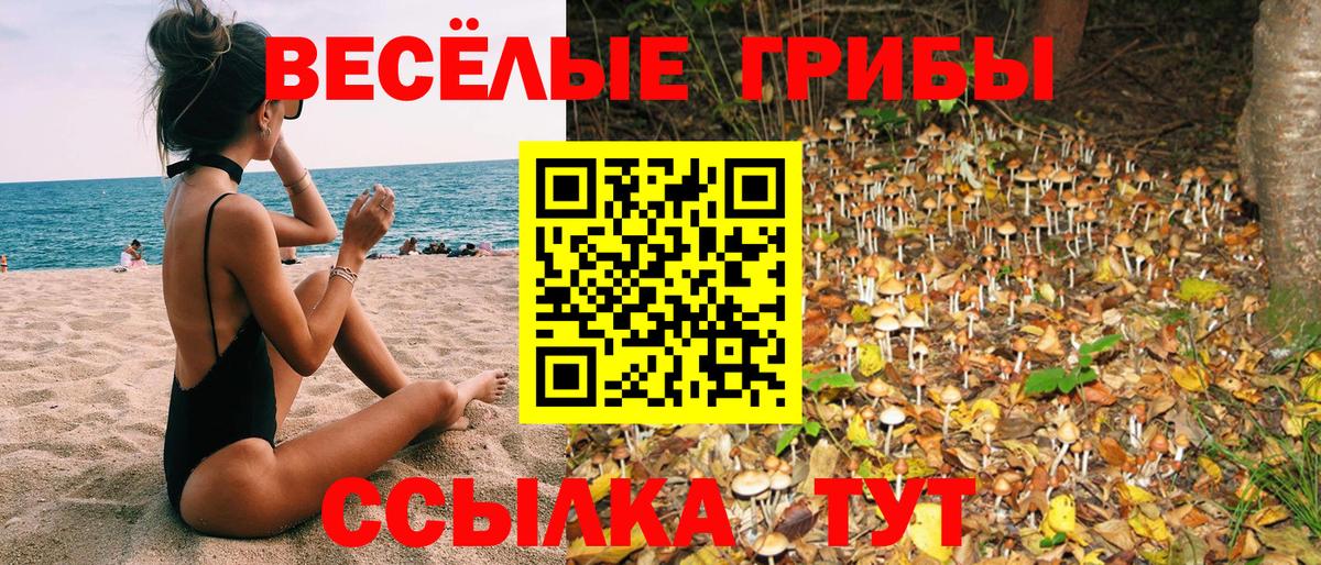 Галлюциногенные грибы MAGIC MUSHROOMS  Вход с VPN  как найти   Спасск-Дальний  Галлюциногенные грибы Psilocybine cubensis 